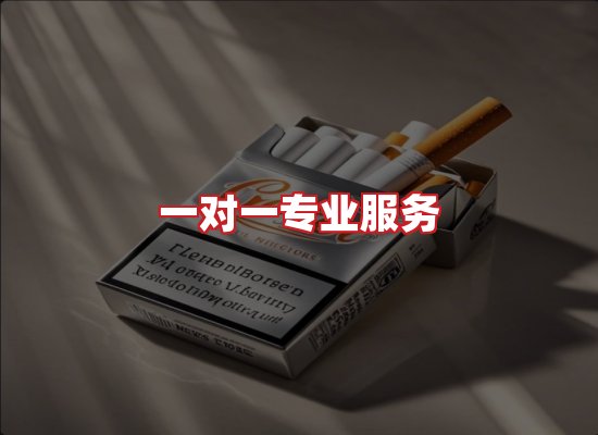 专业团队